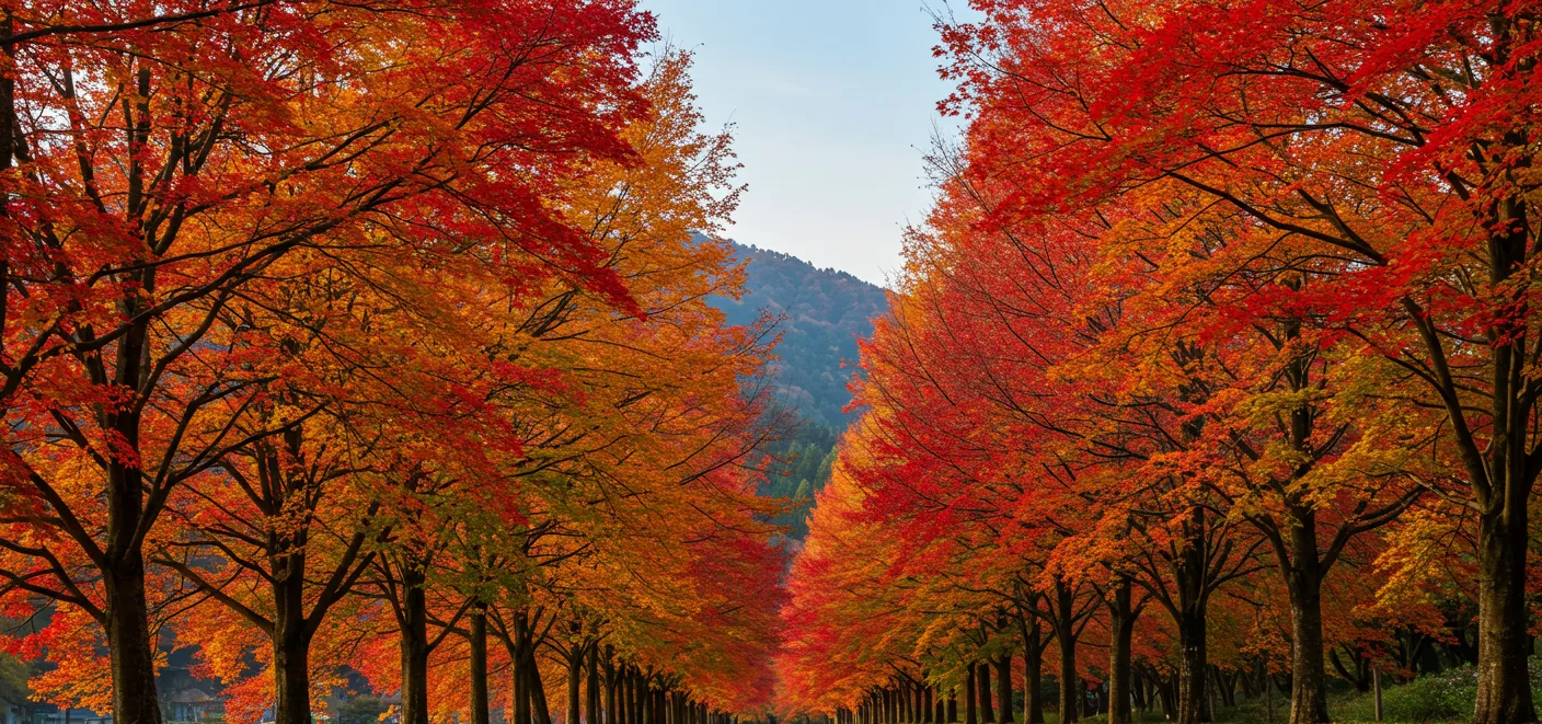 延寿寺のはぜ並木の紅葉